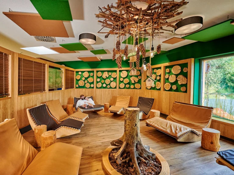 Lieu de repos sauna – Salon Forêt