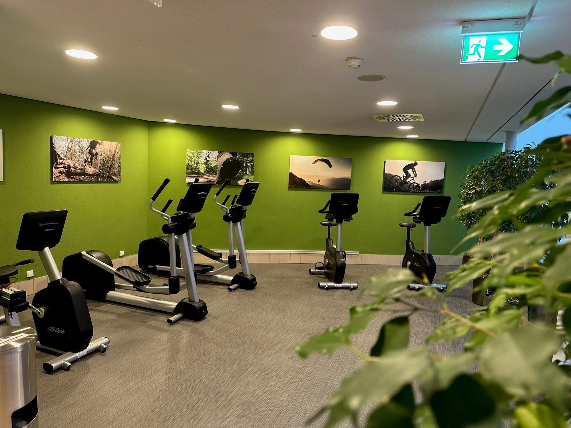 Appareils de fitness – Pour les muscles et l'endurance