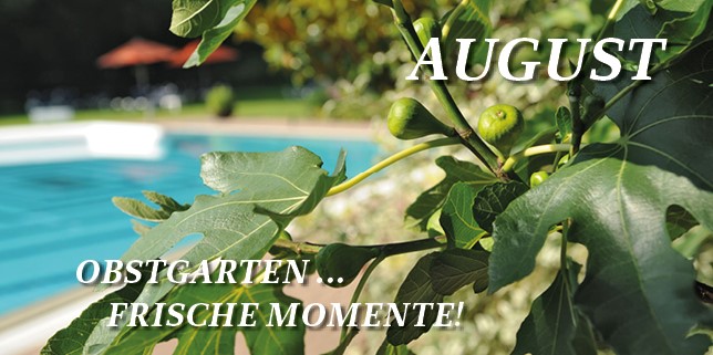 Monatsangebot August - Obstgarten