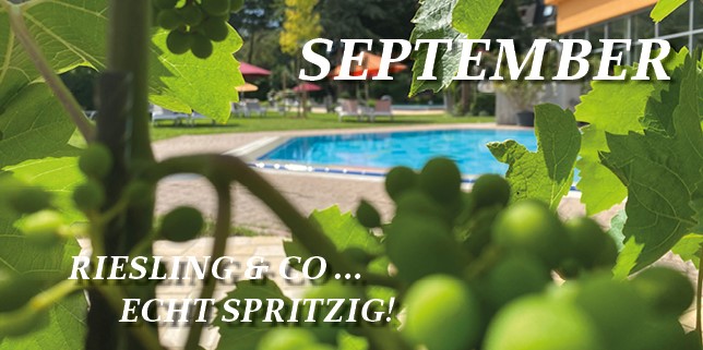 Monatsangebot September - Riesling - echt spritzig